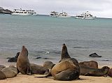 Galapagos 2-2-03 Santa Fe Sea Lions On Beach Sea lions dot the white sand beach on Sante Fe, with our boats bobbing in the turquoise lagoon protected by a peninsula of rocks and small islands that extends from the shore.